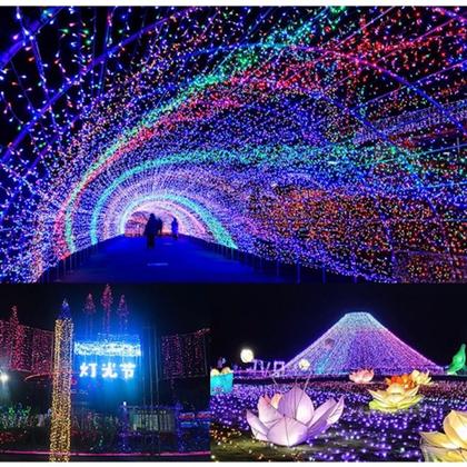 Imagem de Pisca Pisca Natal 100 Leds 10 Metros Fio Verde Luz Decoração de Árvore 110V 8 Funções Vários Cores