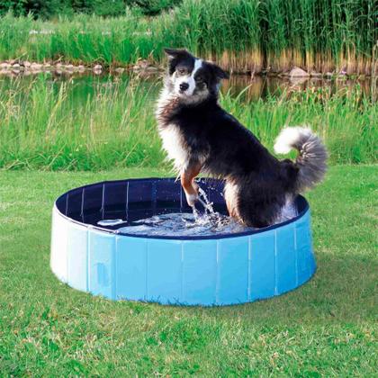 Imagem de Piscina para Cachorro Pets Dobrável Azul 160 Cm X 30 Cm Vg+