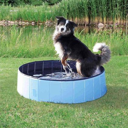 Imagem de Piscina Para Cachorro Pets Dobrável Azul 160 cm x 30 cm VG+