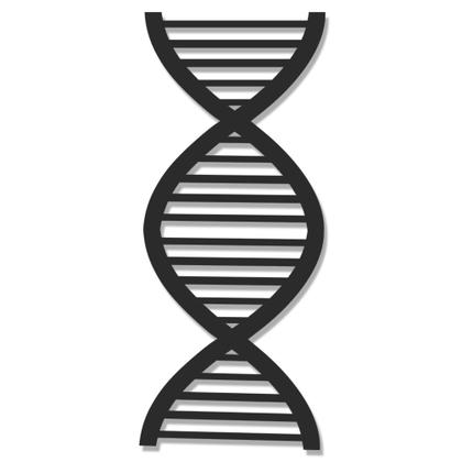 Imagem de Placa Decorativa DNA