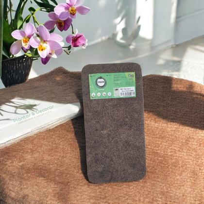 Imagem de Placa Fibra De Coco Tutor Trepadeira Orquídea 2 Unidades