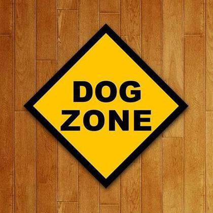 Imagem de Placa Quadro Decorativo Pet - Dog Zone - Cachorro (36X36)