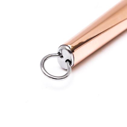 Imagem de Plaina Queijo Inox Génova