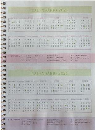 Imagem de Planner Espiral Permanente 80 Fls Natus Cadersil