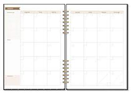Imagem de Planner Mensal Croma - Fina Ideia