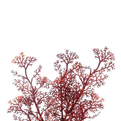 Imagem de Planta Artificial 30cm N19 kit com 2 Para Aquário Terrário e Decoração