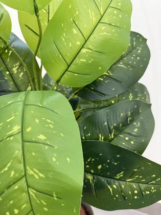Imagem de Planta Artificial Comigo Ninguem Pode Com Vaso Facetado Casa