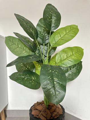 Imagem de Planta Artificial Comigo Ninguem Pode+Vaso Diamante Completo