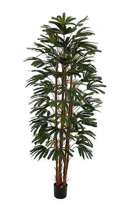 Imagem de Planta Árvore Artificial Palmeira Raphis Verde 2,1m