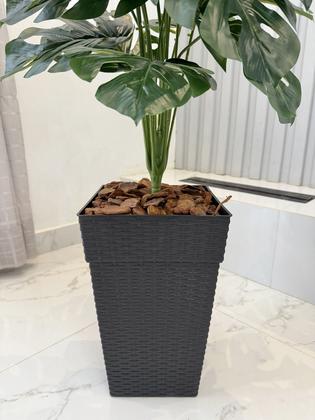Imagem de Planta Costela De Adão Artificial Com Vaso Cores Casca Casa