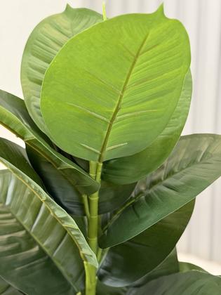 Imagem de Planta Ficus Artificial Com Vaso Quadrado Completo Casca