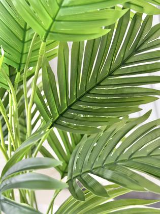 Imagem de Planta Palmeira Artificial com Vaso Bojo Sala Decoração Casa