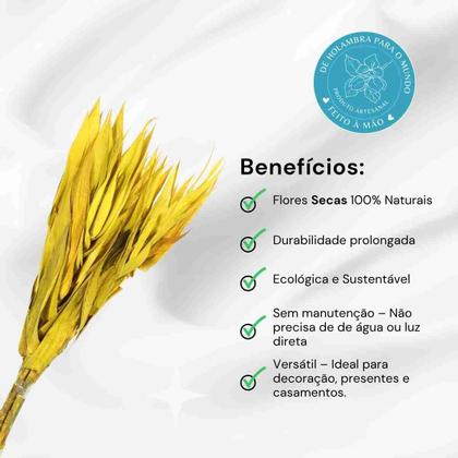 Imagem de Planta Seca Capim Navalha Amarelo 55cm