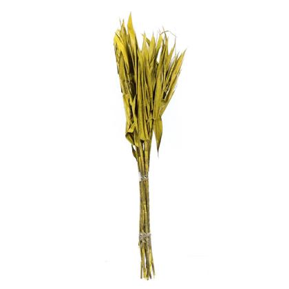 Imagem de Planta Seca Capim Navalha Amarelo 55cm