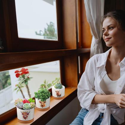 Imagem de Plantadores de vacas cerâmicos das terras altas da Jingmore com bandejas de bambu