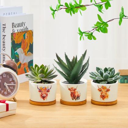 Imagem de Plantadores de vacas cerâmicos das terras altas da Jingmore com bandejas de bambu