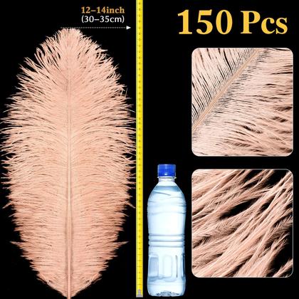 Imagem de Plumas de Avestruz Berlune 150 Piezas Naturales 30-35 cm Champagne