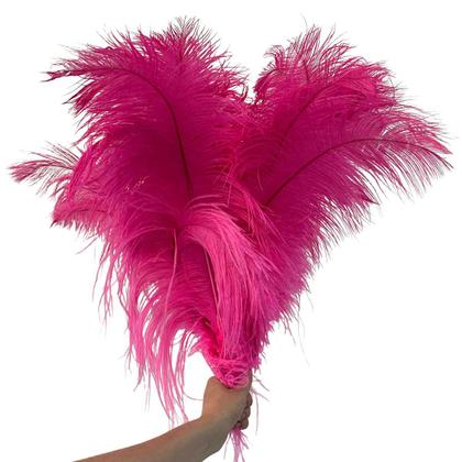 Imagem de Plumas de Avestruz Extra Tipo Chorona Branca Carnaval 25g