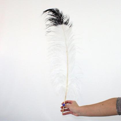 Imagem de Plumas de Avestruz tipo Espigão p/ Decoração - CLIQUE PARA MAIS CORES