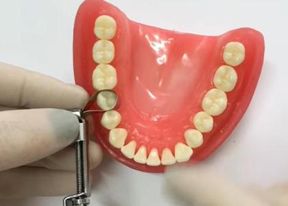 Imagem de Porta Matriz Universal Tofflemire Golgran (Ref 141-2)