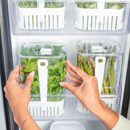 Imagem de Porta Tempero Fresco Hortaliças Geladeira Tampa+Regador 2,3L