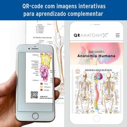 Imagem de Pôster Anatomia da Coluna Vertebral