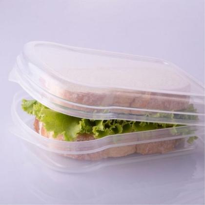 Imagem de Pote Guarda Lanche para Viagem e Escola Sanduicheira 530ml Kit 2 Unidades