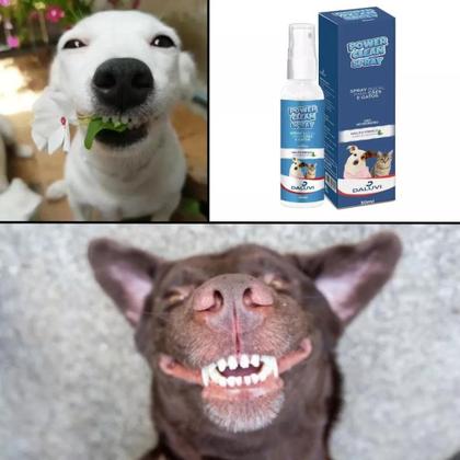 Imagem de Power Clean Spray Acaba com Bafinho