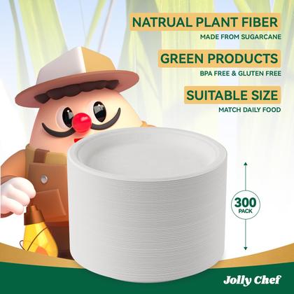 Imagem de Pratos de papel descartáveis compostáveis JOLLY CHEF 10 polegadas 300 ct
