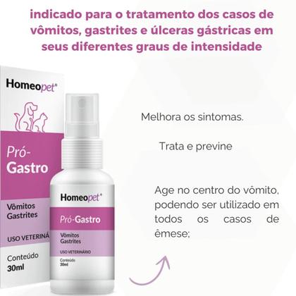 Imagem de Pró-Gastro Doenças do Estômago para Cães e Gatos Homeopet 30ml