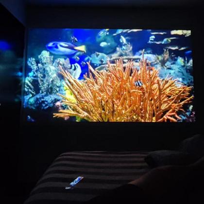 Imagem de Projetor Inteligente Portátil a laser Fengmi Formovie S5 Full HD ALPD 1100 AnsiLúmens,Wifi,Ble.