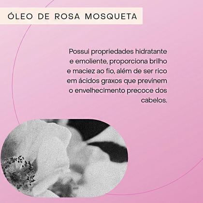 Imagem de Promopack Haskell Cavalo Forte Hidra Sh 500ml Cond 300ml