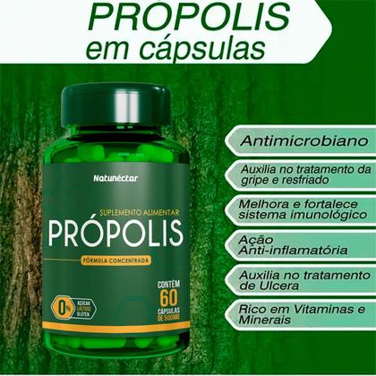 Imagem de Própolis Suplemento Alimentar Natural Vitaminas Encapsulados Verde Seco Natunéctar 60 Capsulas