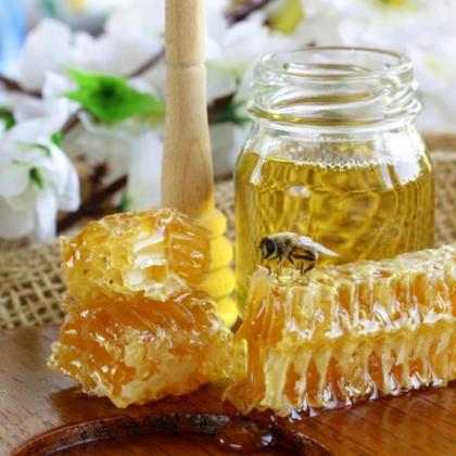 Imagem de Própolis Verde 30ml - Fortalece Imunidade e Amidalites