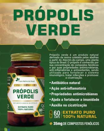 Imagem de Própolis Verde 60 Cápsulas Extrato Puro Flora Nativa
