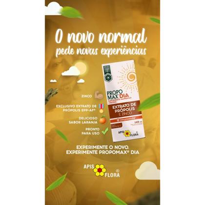 Imagem de Propomax Dia Própolis Vitamina C Zinco Apis Flora 140ml