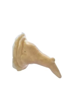 Imagem de Prótese de látex nariz de bruxa com verruga + látex 10ml