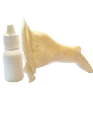 Imagem de Prótese de látex nariz de bruxa com verruga + látex 10ml