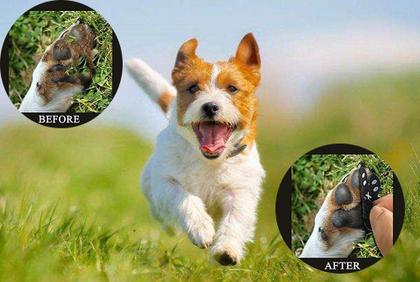 Imagem de Protetor de pata de cachorro VALFRID, alças antiderrapantes para pisos de madeira