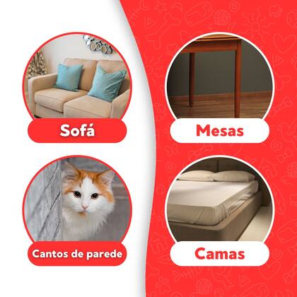 Imagem de Protetor Pequeno Adesivo Antiarranhões Gatos Sofá Parede