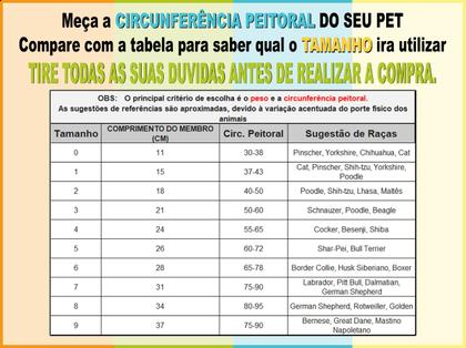 Imagem de Protetor Pós Cirúrgico Para Cães - Membros Anteriores N 5