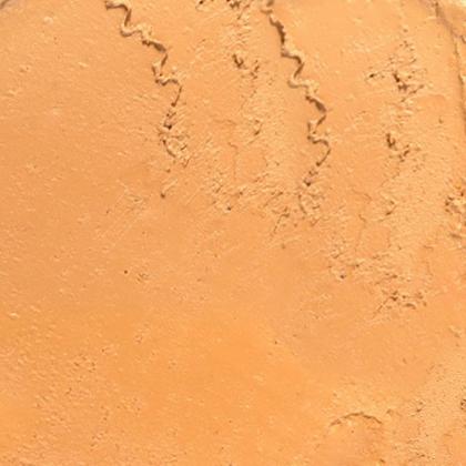 Imagem de Protetor Solar Bastão Sallve Antimanchas com Cor Fps 90