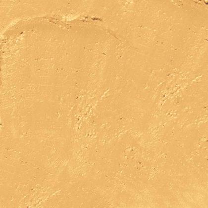 Imagem de Protetor Solar Bastão Sallve Antimanchas com Cor Fps 90