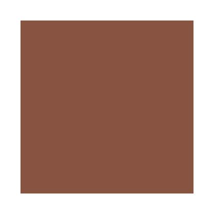 Imagem de Protetor Solar Facial com Cor La Roche-Posay Anthelios Airlicium+ Fluido FPS50