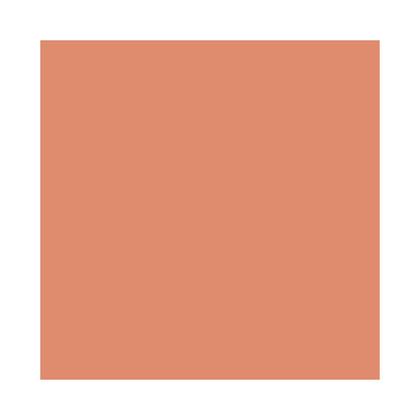 Imagem de Protetor Solar Facial com Cor Sallve Toque Seco FPS60