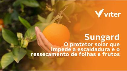 Imagem de Protetor Solar Para Plantas E Frutos 1kg - Sungard