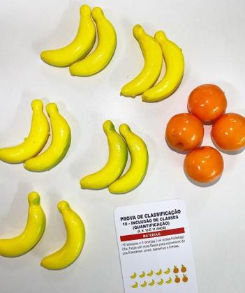 Imagem de Provas Piagetianas Jean Piaget 14 Provas