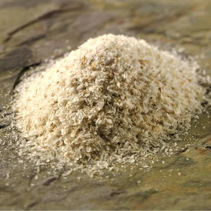 Imagem de Psyllium Suplemento 1Kg - DaFoods