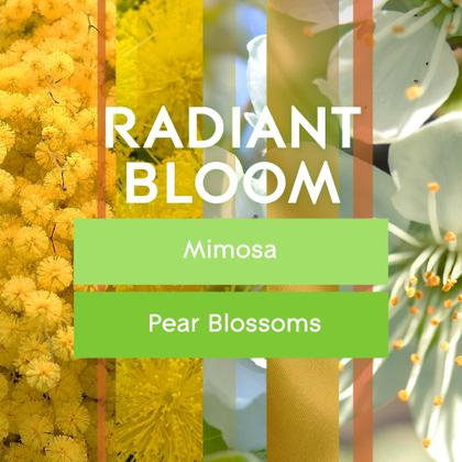 Imagem de Purificador de ar Glade Plugins Óleo perfumado Radiant Bloom 100mL