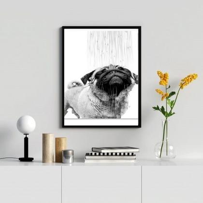 Imagem de Quadro Banheiro - Pug Tomando Banho 24x18cm - com vidro